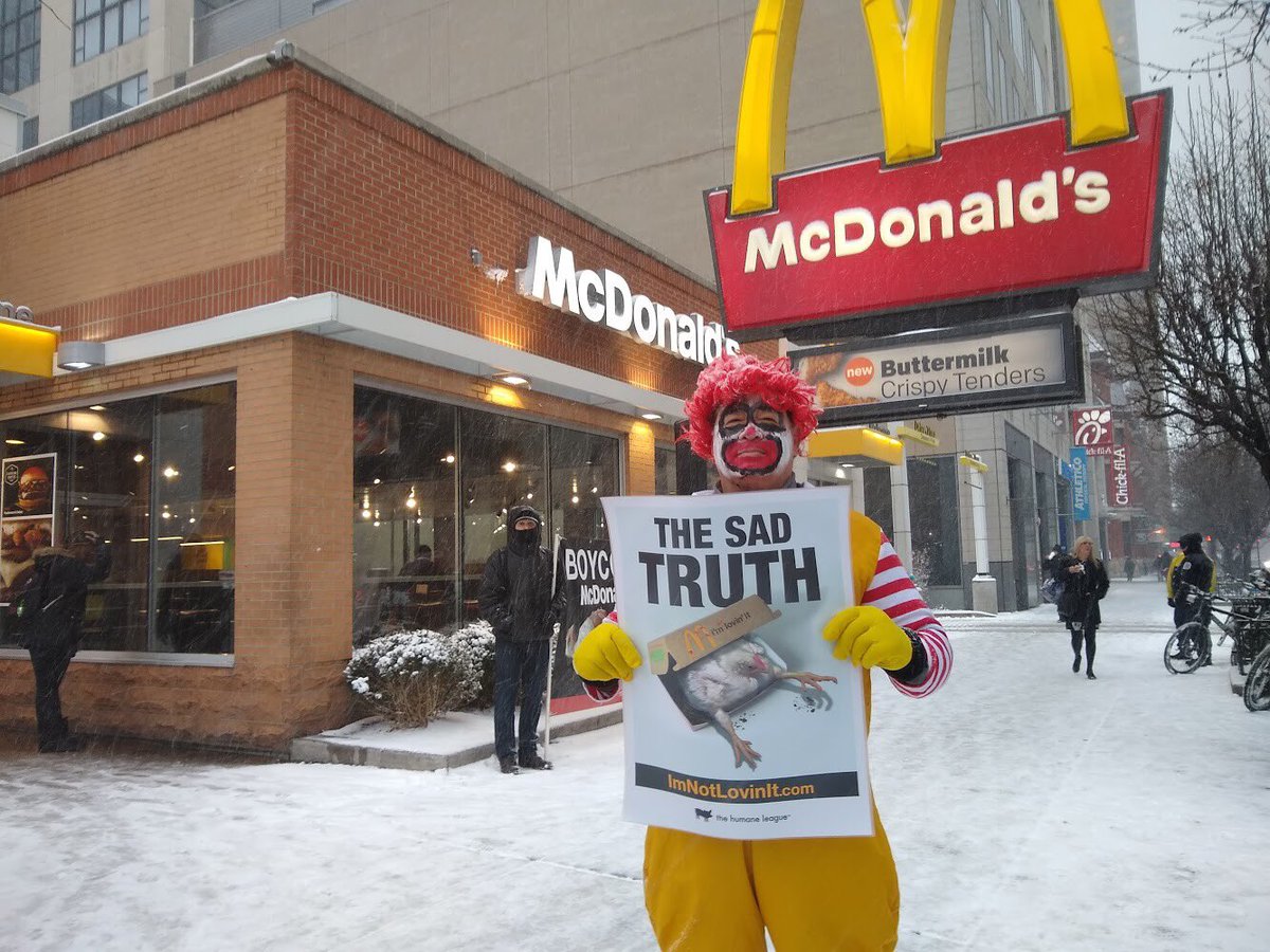 RachelSBlack's tweet photo. @FrancescaDBiase @McDonaldsCorp Please make a New Years Resolution to end the chicken cruelty in @McDonalds #supplychain. Be a leader for your concerned customers &amp; the millions of suffering animals for #McDonalds. #ImNotLovinit https://t.co/E7zkYStKY4