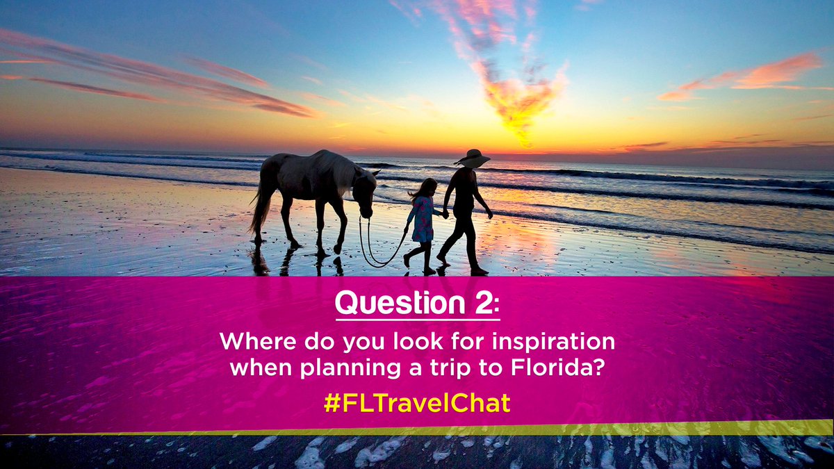 VISIT FLORIDA tweet media