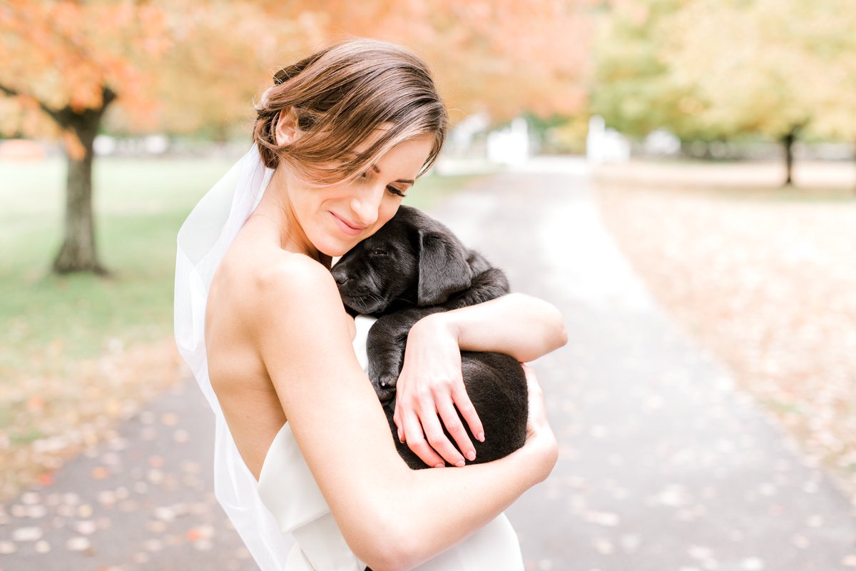 Yup that’s the cutest little pupper named Moose! How many of you also yell “puppy!” every time you see a dog go by 🙋🏼‍♀️🙋🏼‍♀️🙋🏼‍♀️???
#weddingpuppy #bhgpets #fallwedding
