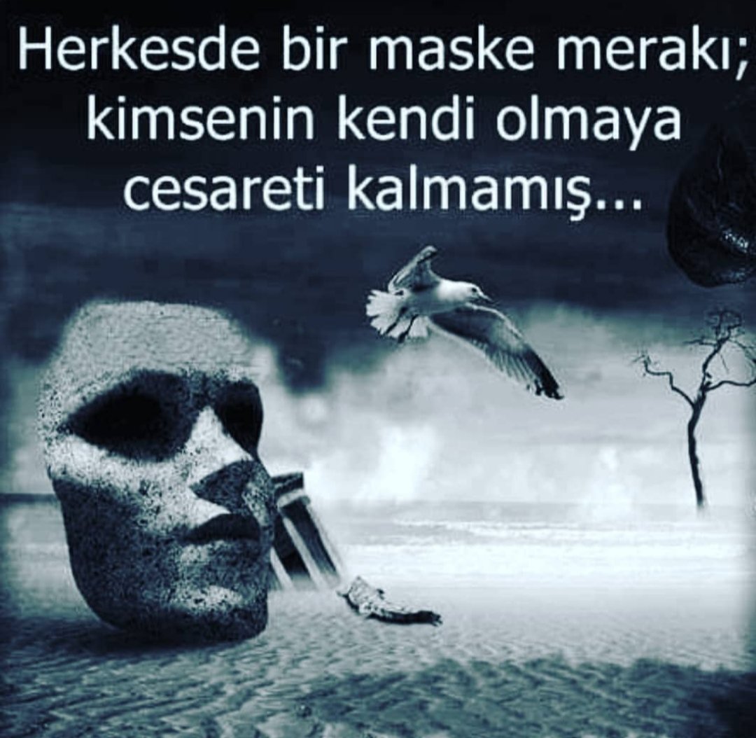 Seçici (@seici11) on Twitter photo 