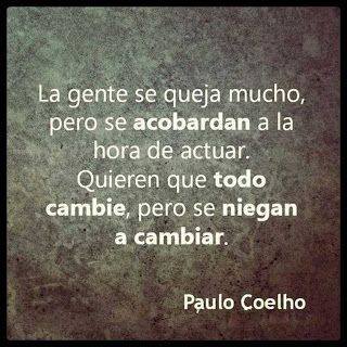 andrea carol tweet media