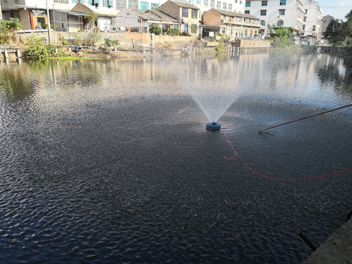 diffulpump's tweet image. DIFFUL SOLAR PUMP - Solar aerator for ponds, fish farming, etc.

diffulpump.com
Email：sales02@diffulpump.com
Whatsapp/Tel：+86 18858098438
#solarpoweredpump #SolarAerationPump #solarAerator #solarwaterpump