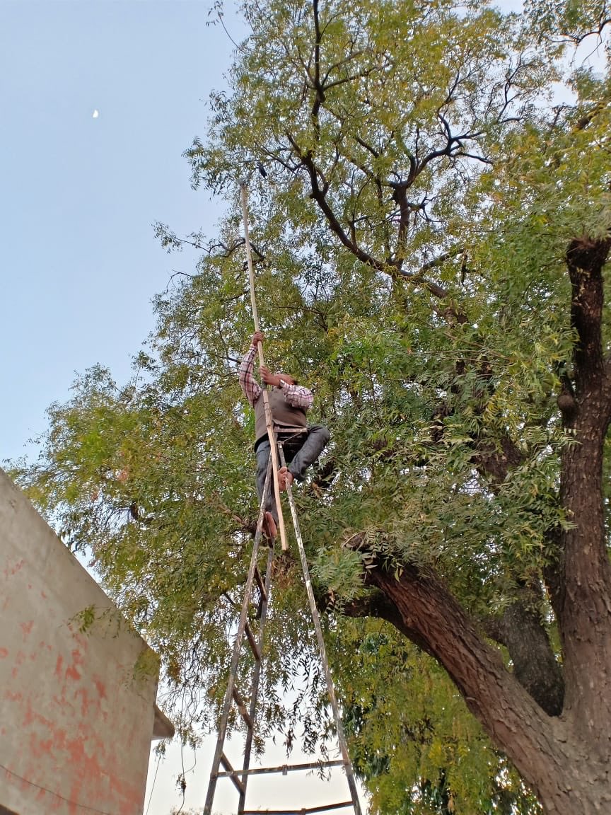 AcfYogeshkumar's tweet photo. And an excellent effort by Team Prantij ,Sabarkantha forest division to save the bird.
#savebirds
#karuna_abhiyan2019 https://t.co/PNazjNMPnG