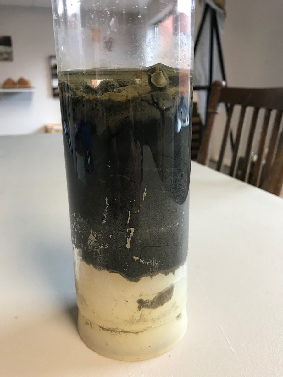 What a difference a few days can make. Changes in sediment cores taken by our young scientists from a local salt marsh. Cool example of bioirrigation at the sediment surface after 3 days. Stay tuned for day 6 image soon! #saltmarshesrock youngscientistacademy.org