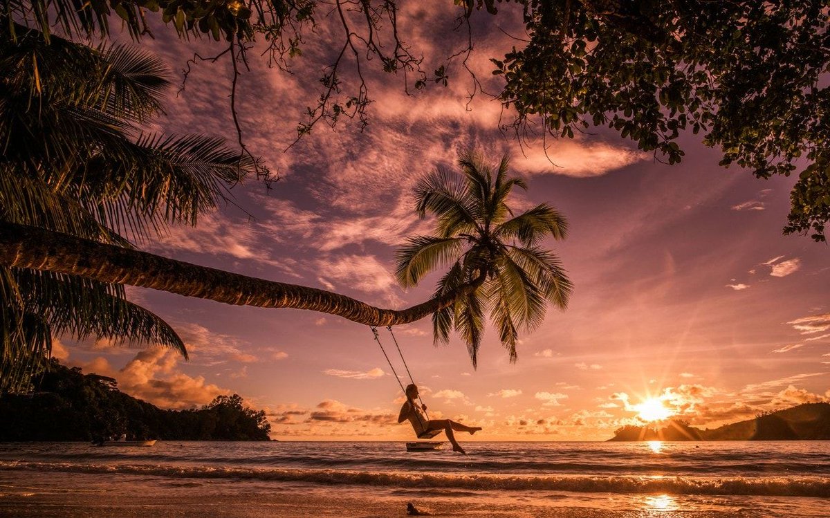 Rolo Travel tweet media