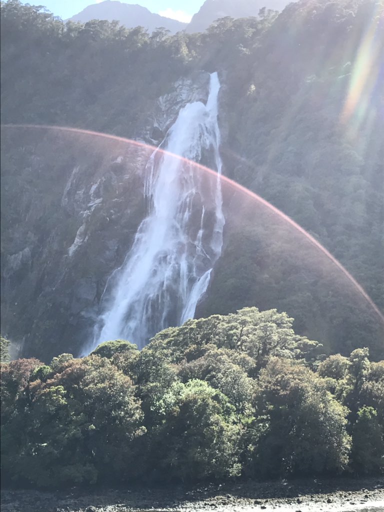 dunhill_a's tweet photo. Happy to report very little or no #plastics use on my tour of #NewZealand @LucieParsons08 #recycling bins everywhere, #refilable coffee cups promoted, people picking up after themselves @PureNewZealand https://t.co/qbJjn4WPs0