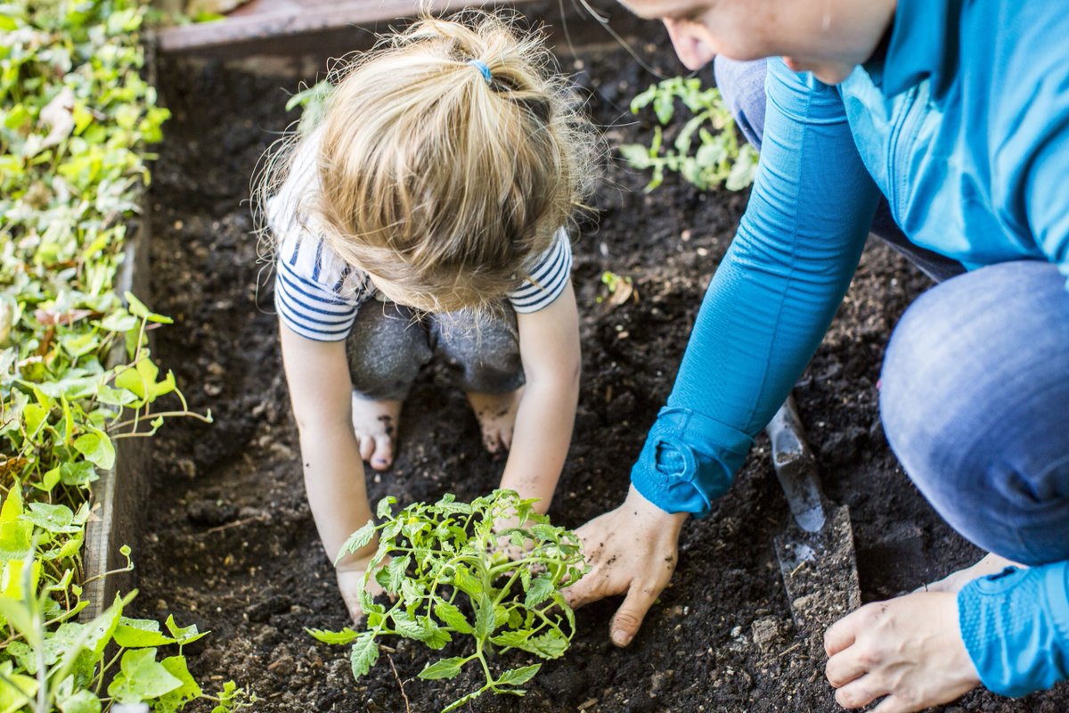 AgFunder's tweet photo. Woman run #venturecapital fund is investing in the future of #natural #foods https://t.co/cjTfspLO7d https://t.co/TQJGYHafbE