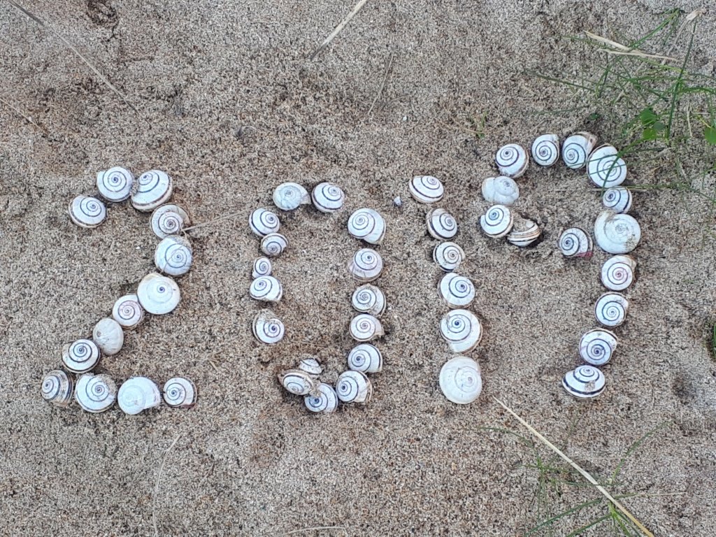 WoW Week Of Wellness tweet media