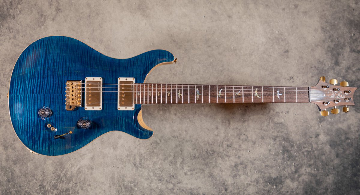 PhoenixTaylor11's tweet photo. Just a bit of guitar love now it is back after a service. @PRSGuitarsEuro @prsguitars #guitar #guitarists #guitarsolo #PRS Photo by @ExtraordCoach https://t.co/RA18BPqiJn
