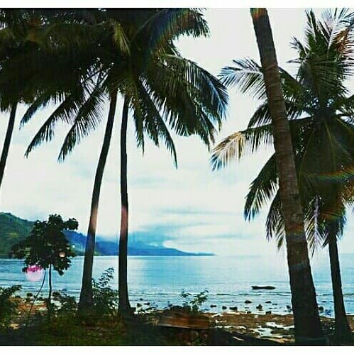 MWarnalyn's tweet photo. PANTAI ONANG 

Desa Onang, Kecamatan Tubo Sendana, Kabupaten Majene, Sulawesi Barat. 

@jheipul 
@mansyurebo 
@donkardono
@kemenpar
@genpi_id
@genpinasional
@pasargenpi
@genpi_id

#WonderfulIndonesia
#PesonaIndonesia
#Genpi 
#Genwi
#Genpisulbar
#Disparsulbar
#15PantaiOnang https://t.co/nV0NTALF2g