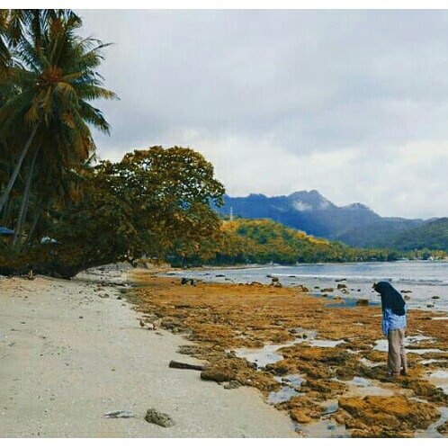 MWarnalyn's tweet photo. PANTAI ONANG 

Desa Onang, Kecamatan Tubo Sendana, Kabupaten Majene, Sulawesi Barat. 

@jheipul 
@mansyurebo 
@donkardono
@kemenpar
@genpi_id
@genpinasional
@pasargenpi
@genpi_id

#WonderfulIndonesia
#PesonaIndonesia
#Genpi 
#Genwi
#Genpisulbar
#Disparsulbar
#15PantaiOnang https://t.co/nV0NTALF2g