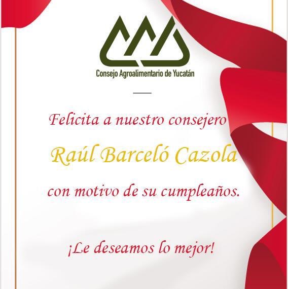 CNA Yucatan tweet media