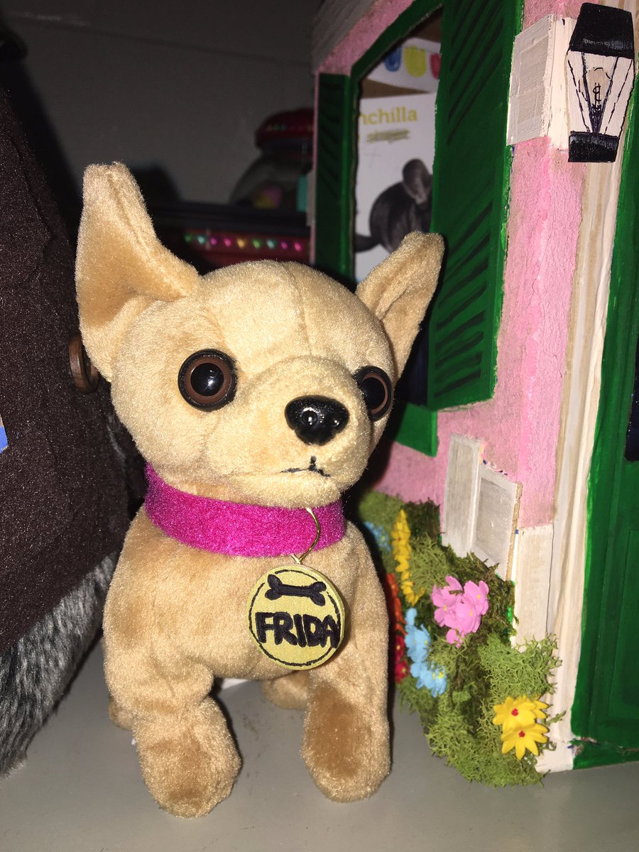 ClaudetheChincy's tweet photo. So happy to back @HumbleISD_SFE ! Mrs. T was nice enough to get a pet to keep me company when she leaves for the day! Meet Frida the Chihuahua! ♥️ https://t.co/SOknGNujsC
