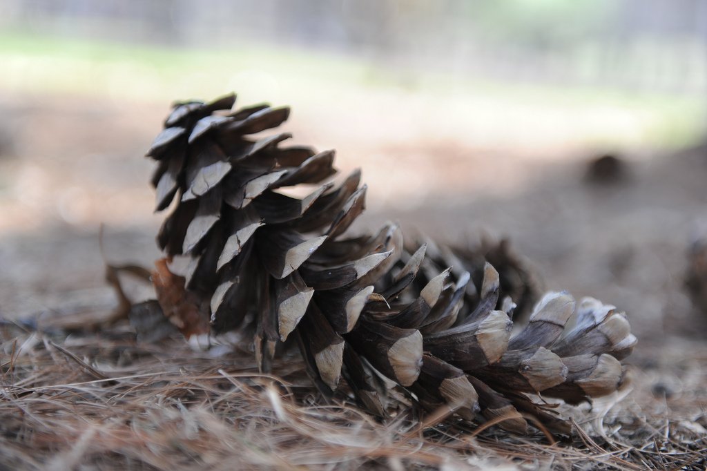 nattygur's tweet image. &quot;Galaxies&quot; provides free #Management #Consultancy and a platform for running organizations based on #NonDeterministic management systems. If you are starting to see the drawbacks of current management systems, we will be happy to HELP! ongalaxies.com/services/
#DX #Agile #Business