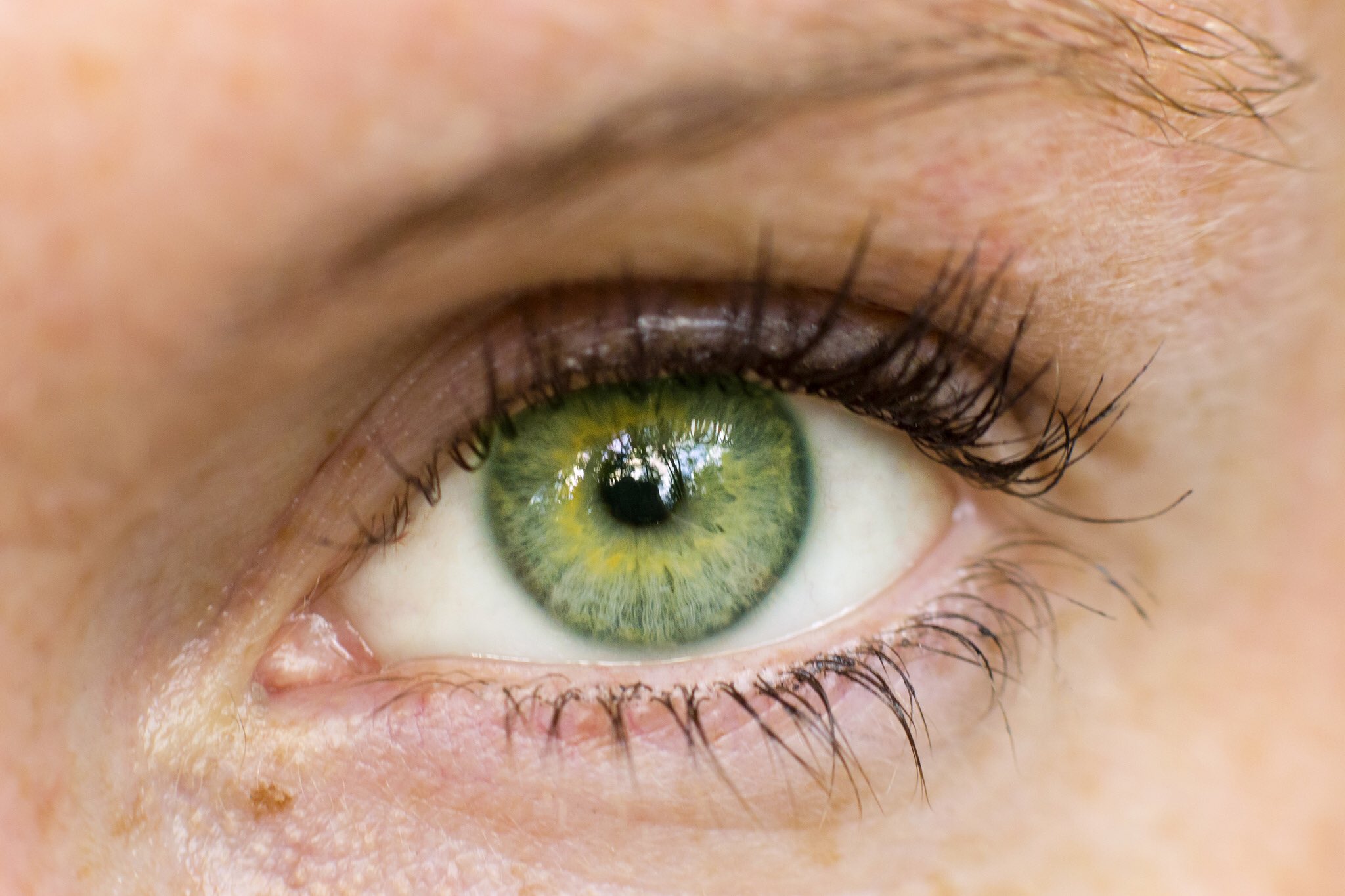 Real green eyes deals