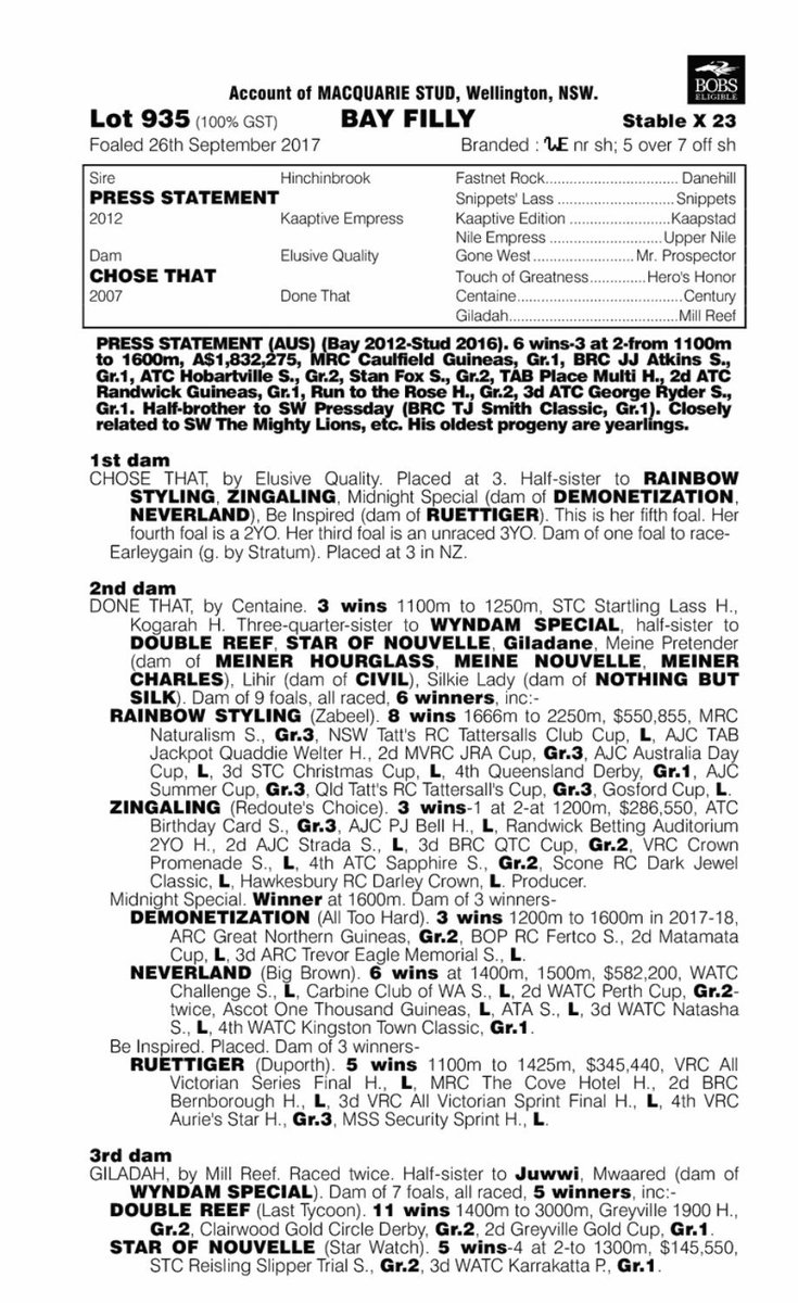GrandSyndicates's tweet photo. The photos are up second of our value buys from Magic Millions...
Lot 935 - $15,000
Press Statement x Chose That filly
BOBS filly off to Gosford in NSW to be trained by Grant Allard.
Correct & well balanced 🏇👍
#AGrandAShare #TeamGrand⭐ https://t.co/VhRR8TibHh
