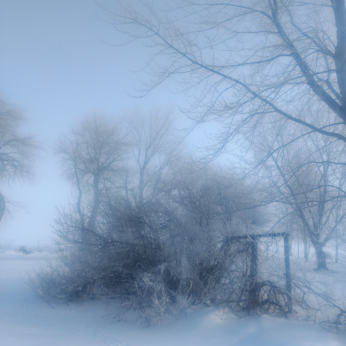 Probits's tweet image. A sunny frosty morning.