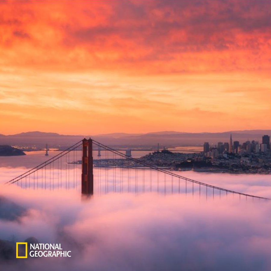 #NG오늘의포토
미국 캘리포니아주 금문교가 이곳의 상징이기도한 짙은 안개와 장엄한 해돋이에 둘러싸여 완벽한 자태를 뽐내고 있습니다.