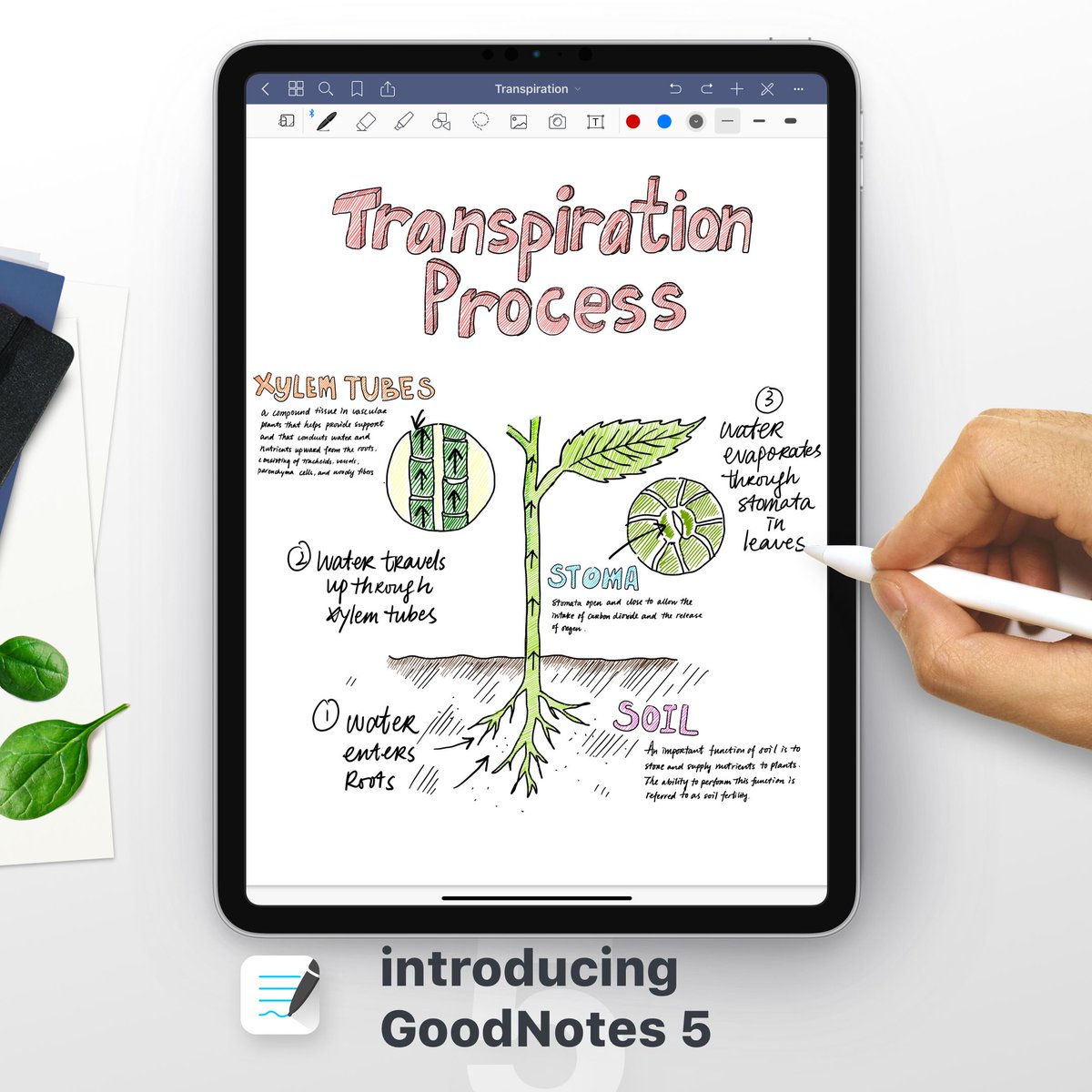 Goodnotes 5 Release Date Staffingholden goodnotes-5-release-date-staffingholden