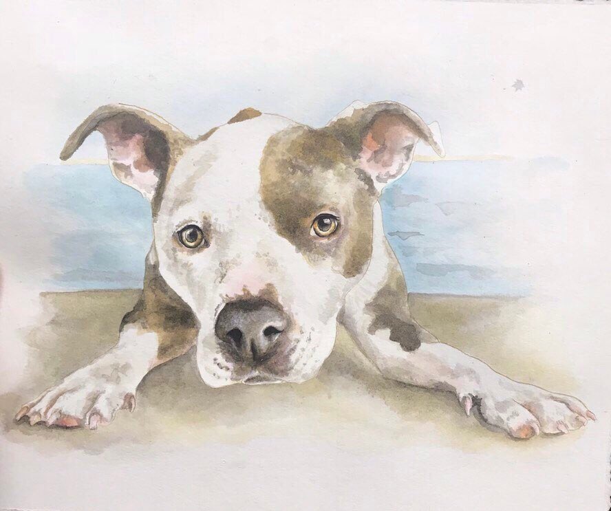 tinybarnstudio's tweet photo. Excited to share this item from my #etsy shop: Custom Pet Portrait Mounted to 11x14 https://t.co/Bi3JKuUaNd https://t.co/uPYUd2h19C