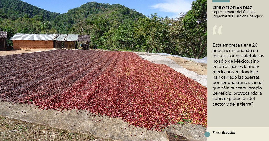 Cafetaleros alertan que planta de Nestlé los volverá “peones de hacienda” y destruirá su tierra bit.ly/2MgTNO9