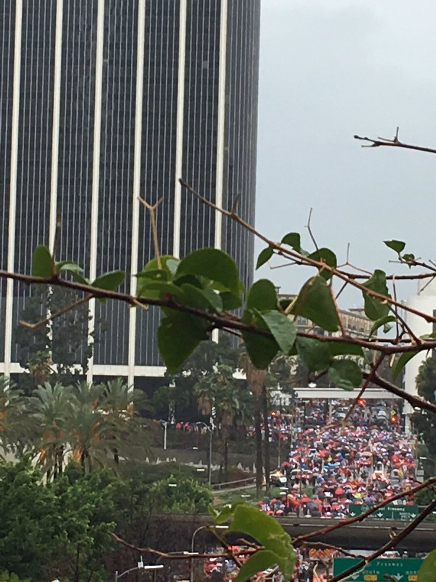 ZeenaMar1013's tweet image. #UTLASrong #kidlit LA teachers fighting for the heart and soul of PUBLIC EDUCATION