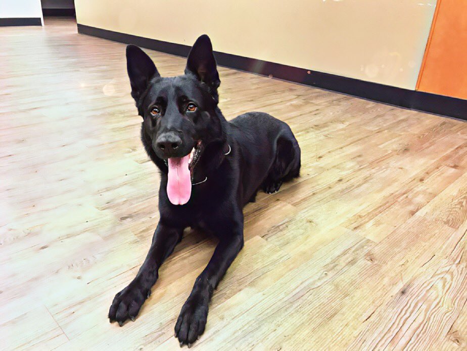 SMCSheriff photo