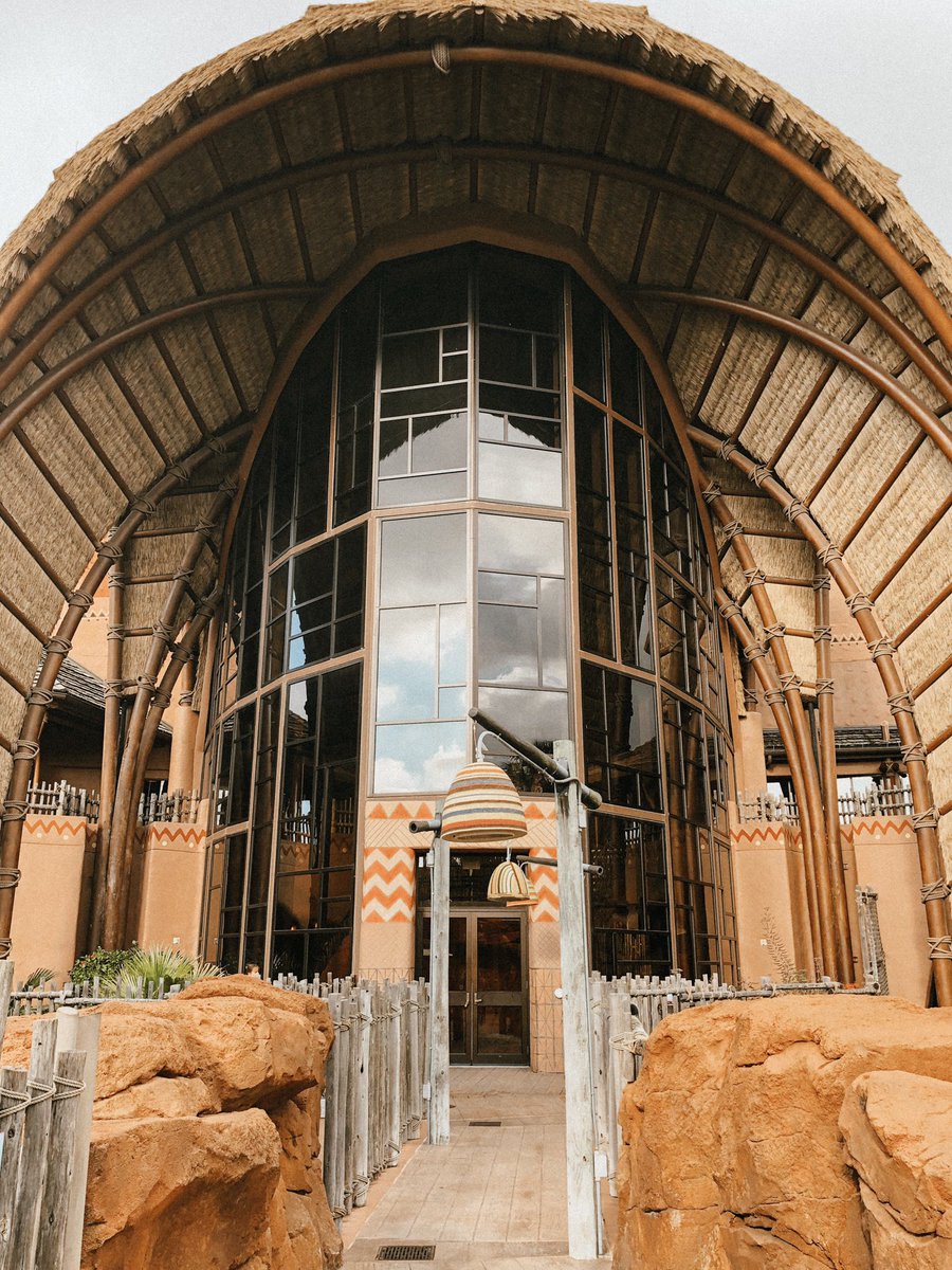 samhetterich's tweet image. Staying on the savanna in Africa🦒