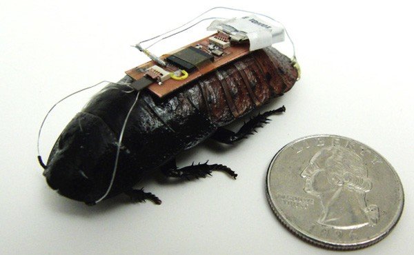 Puiv yazarının bir hamam böceğini robota çevirmesinin hikayesi - puiv.com/i/2LJGRGW9 #YazDostum Ekim #salı
