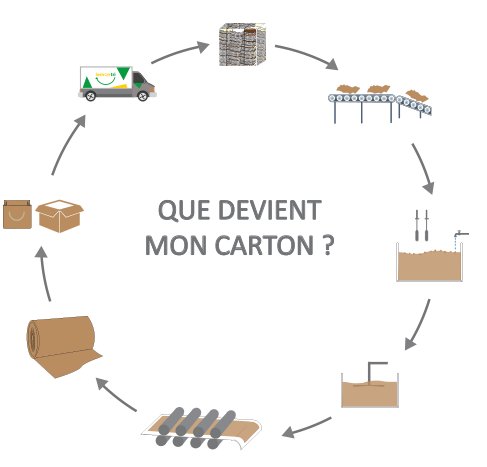 📦♻️ Le saviez-vous ? Fabriqués à partir de cellulose (fibre de bois), tous les cartons se recyclent (à l’exception des cartons souillés) ! On peut réutiliser la matière jusqu’à une dizaine de fois, après quoi la fibre se dégrade 🌎