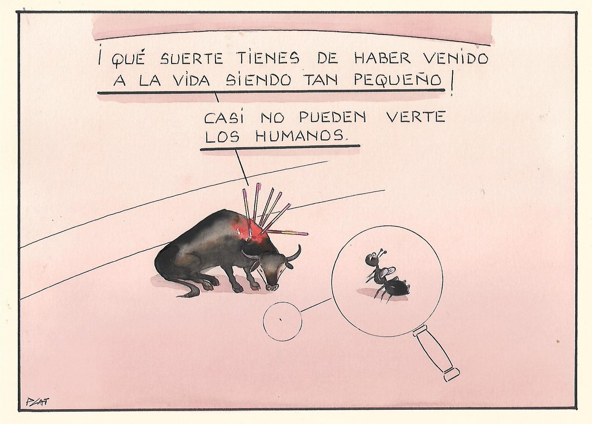 Paco Catalán. tweet media