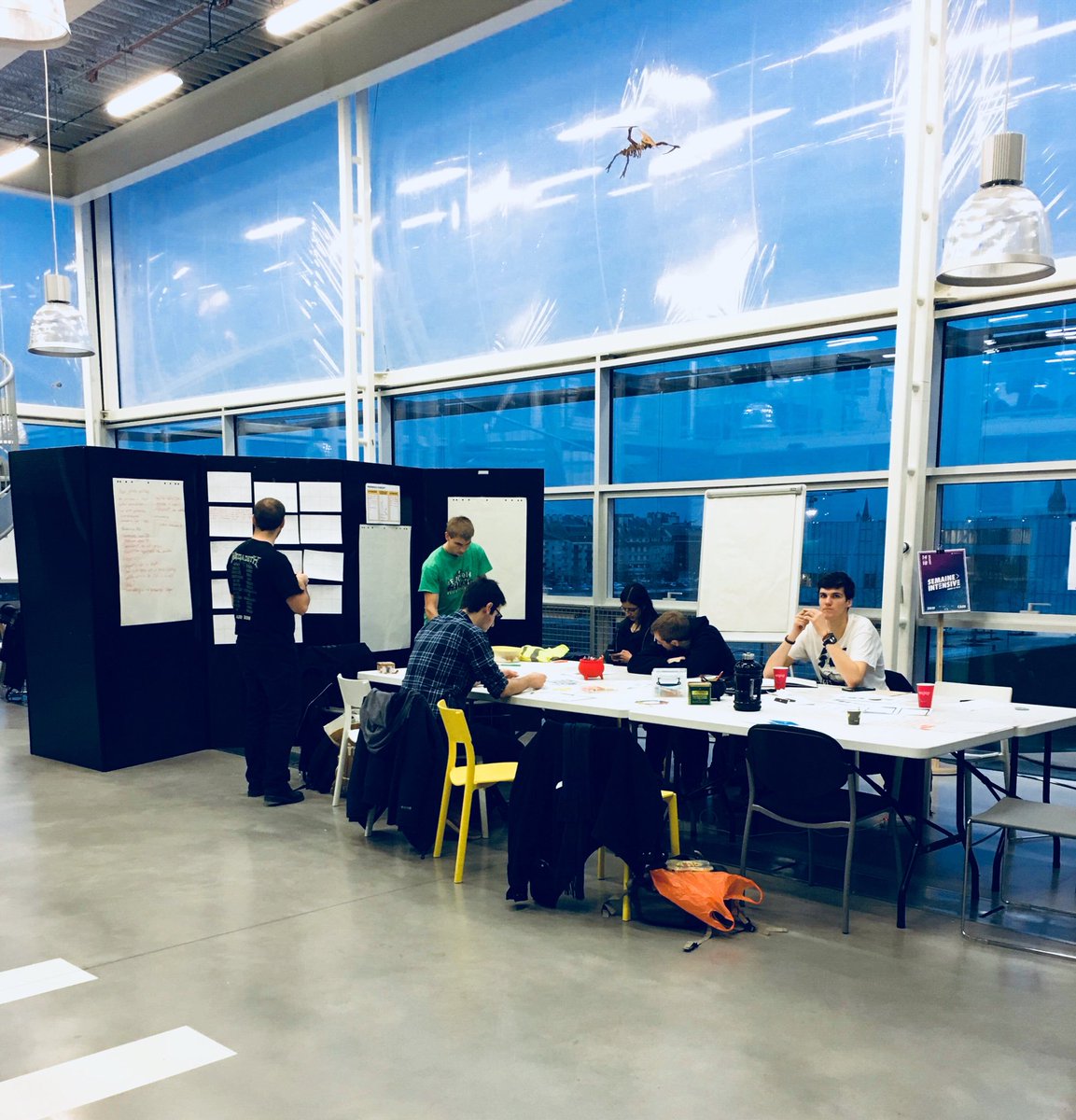 Semaine intensive tweet media