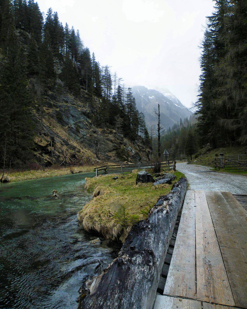 MissBrandyGreen's tweet photo. #travel #nature #landscapes #AustrianAlps #Austria #snowcoveredmountains #freshwater #meltedsnow #stream #pines https://t.co/yKAzS3lc9n