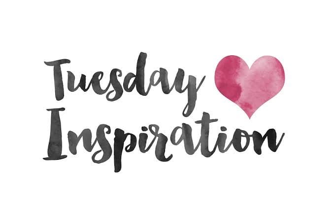 chbwcomau's tweet photo. Tuesday, day 2 of the heat week...
#hair #haircare #haircolor #hairproducts #salon #salondecor #photooftheday #picoftheday #summerglow #tan https://t.co/eRFeu8X1Qy