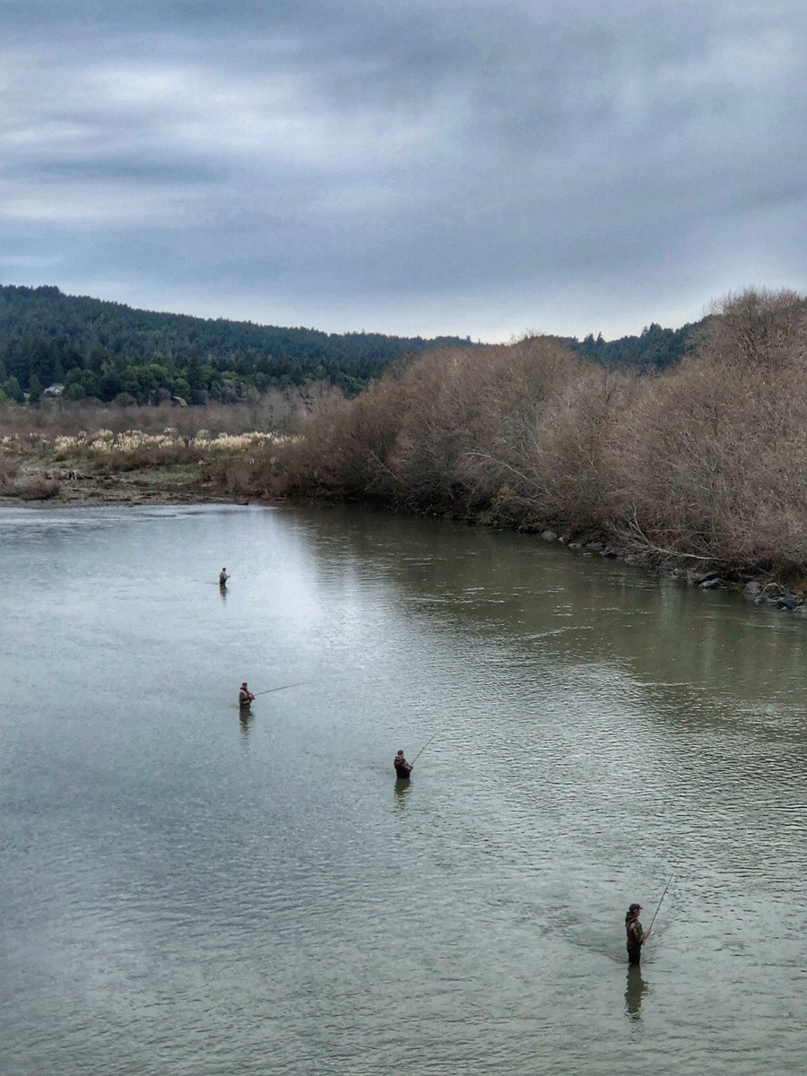 SteelheadDays's tweet photo. #fishingtime  #steelheadfishing https://t.co/F4ARNajby4