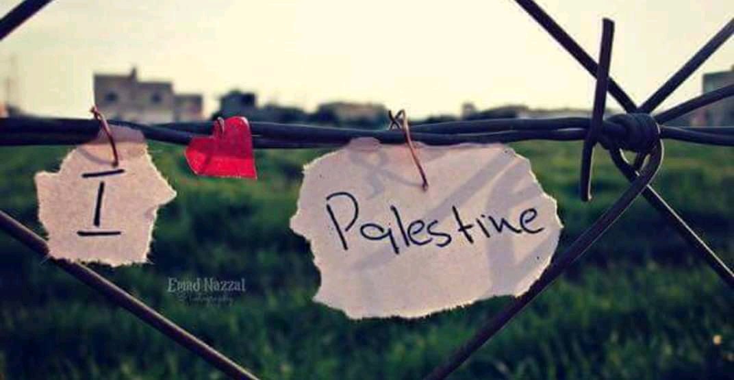 syed_tafazul's tweet photo. Good morning Palestine ,Gaza 🇵🇸❤️
#GroupPalestine 
#قروب_فلسطيني https://t.co/pQfPPsPcYn