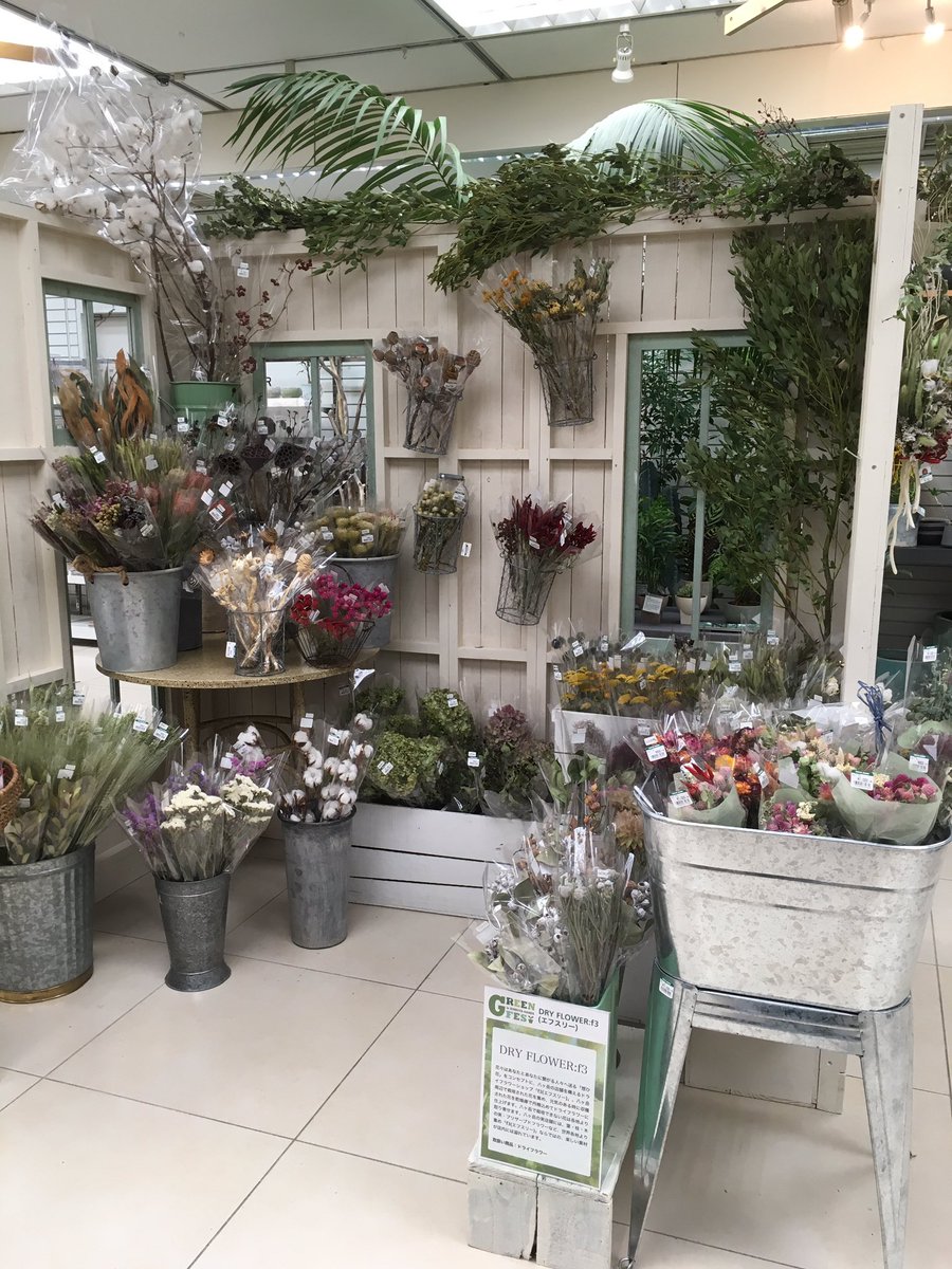 東急ハンズ渋谷店 本日より 1aフロアにて ハンズ史上最大級の植物フェス Green Fes グリーンフェス が開催されました 緑いっぱいのフロアには 観葉植物からドライフラワー 盆栽まで 多種多様に取り揃えております 2月 17日までの期間限定です ぜひ