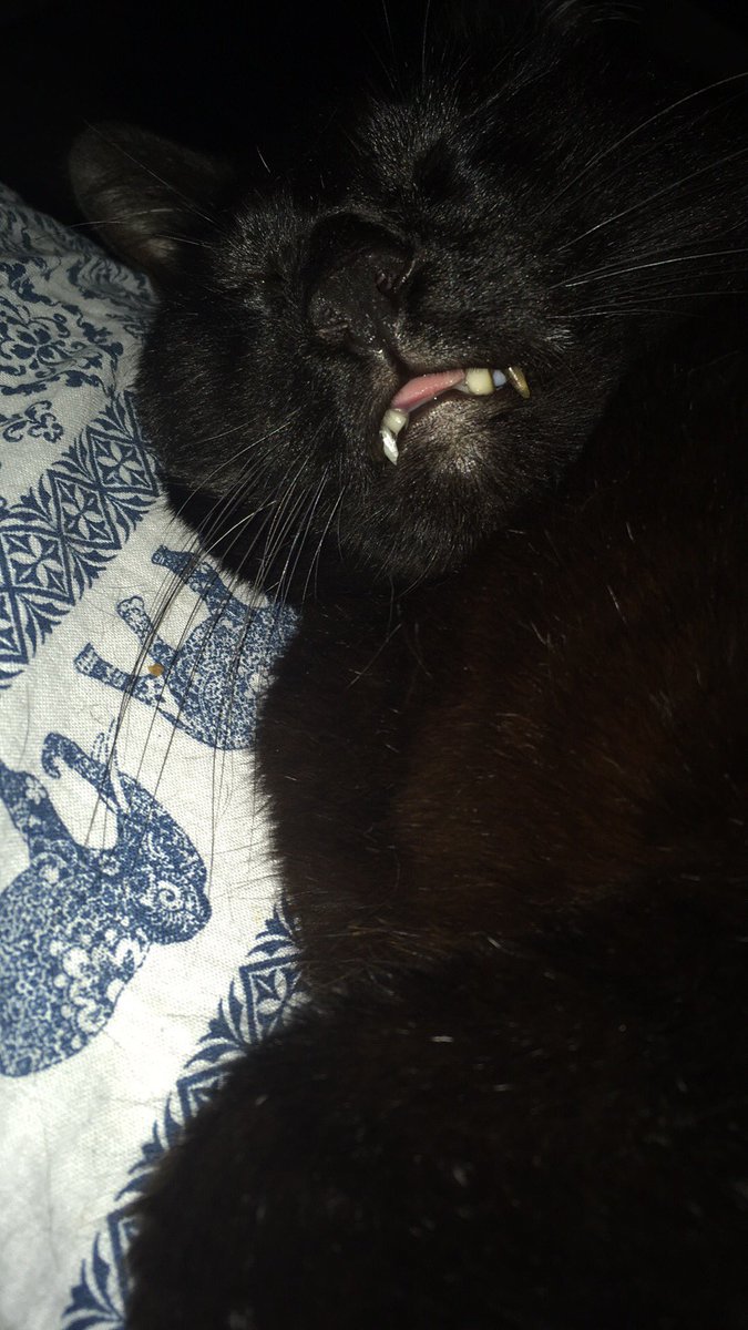 (◞‸◟ ✿) tweet media