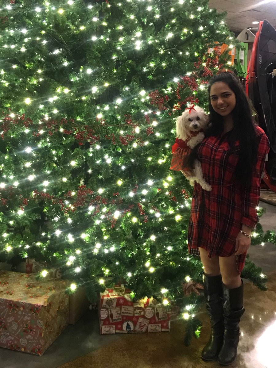 Ellena_Glam's tweet photo. Today was National Dress Up Your Pet Day! I’m thinkin’ Emma and I participate in this more than just on January 14th! 😂 LOL 🐶💁🏻‍♀️ #NationalDressUpYourPetDay https://t.co/JEO36GBMtp