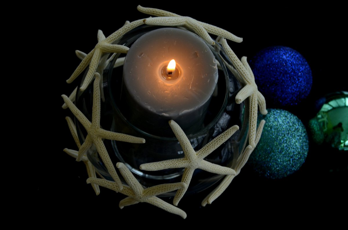 Shell Your Wish Shellyourwish1 Twitter