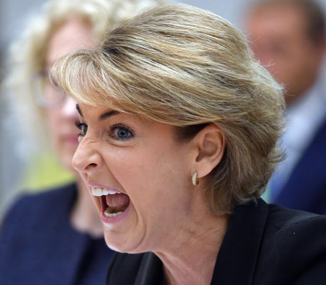 WriteWithDave's tweet image. I have it on very good word that #MichaeliaCash absolutely hates this photo. So whatever you do, ...#auspol