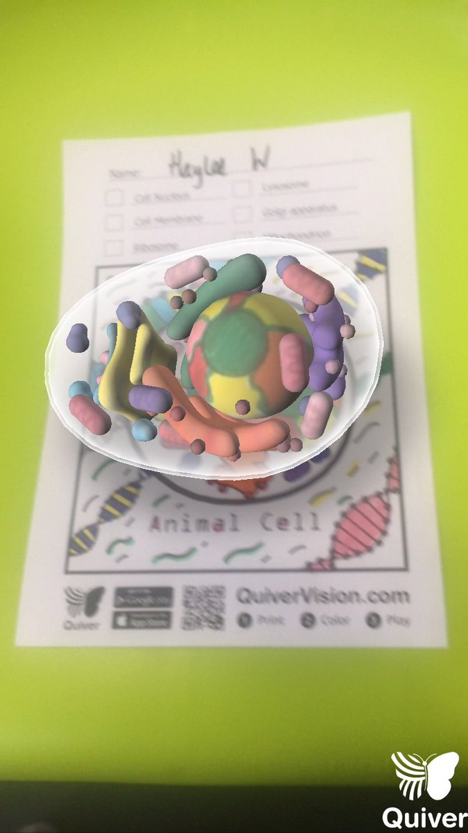 HayleeWebber's tweet photo. #TMLchatMR #Q2 the benefits of mixed reality for students is mindblowing! Highly engaged tools such as google tour or quiver would be amazing can’t wait to try these out 👊👌 https://t.co/0Zx15ZfIM1