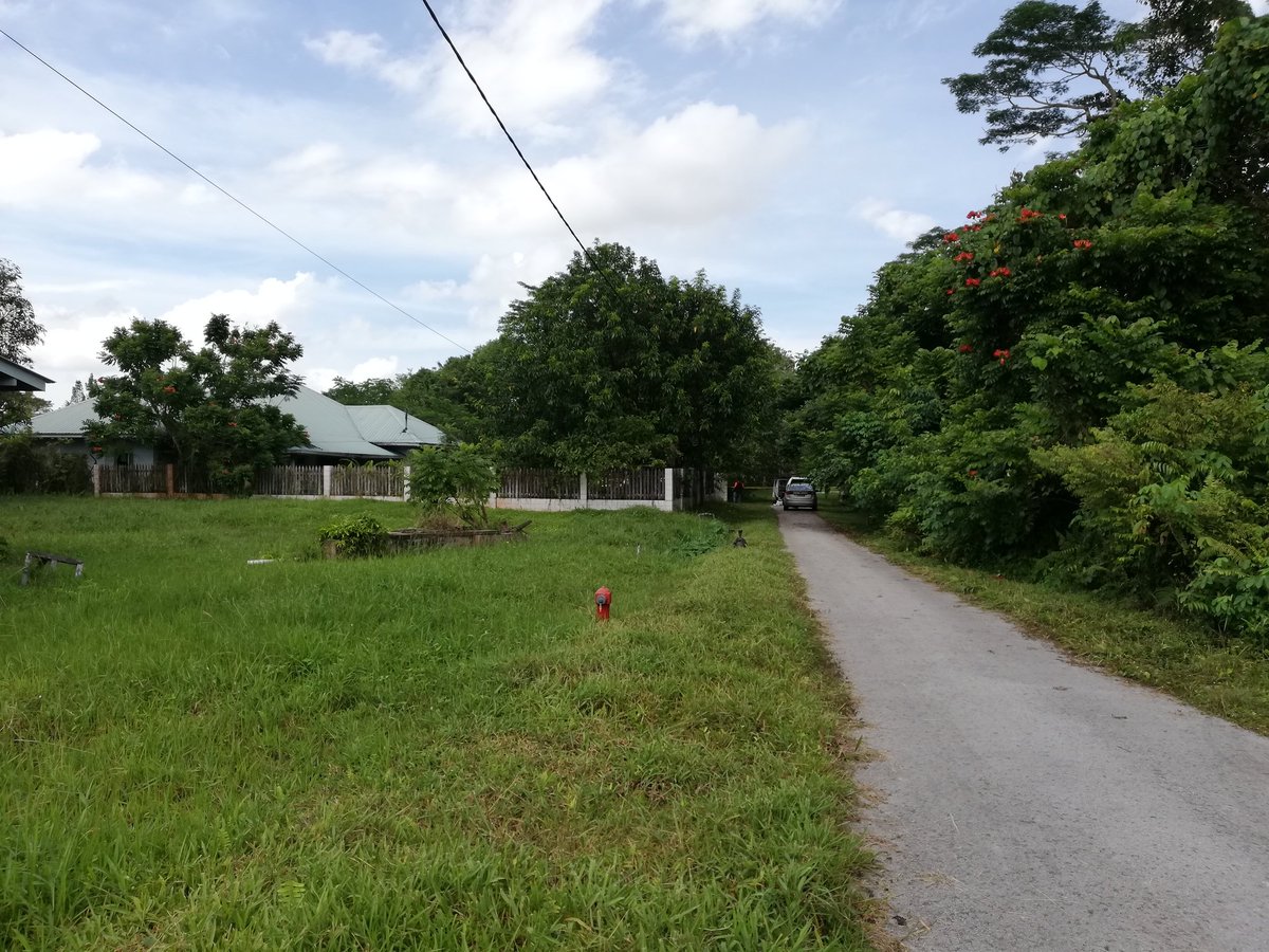AdibNewsMPB's tweet photo. Kuching: Mayat seorang lelaki disyaki mangsa bunuh ditemui di sebuah rumah kosong di Lorong Dusun, Jalan Ong Tiang Swee pagi tadi.
Mayat berkenaan ditemui orang awam kira-kira jam 10 pagi tadi yang kemudiannya melaporkannya kepada pihak polis. @NewsMPB https://t.co/MgpZG31NIQ