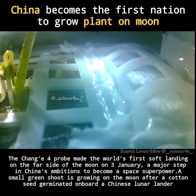 Science4u3's tweet image. China brings it to next level🙏
The sprout has emerged from a lattice-like structure inside a canister after the Chang’e 4 lander touched down earlier this month, according to a series of photos released by the Advanced Technology Research Institute at Chongqing University. “…