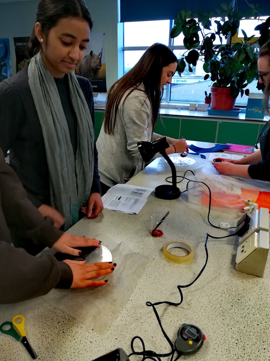 St Wilfrids Science tweet media