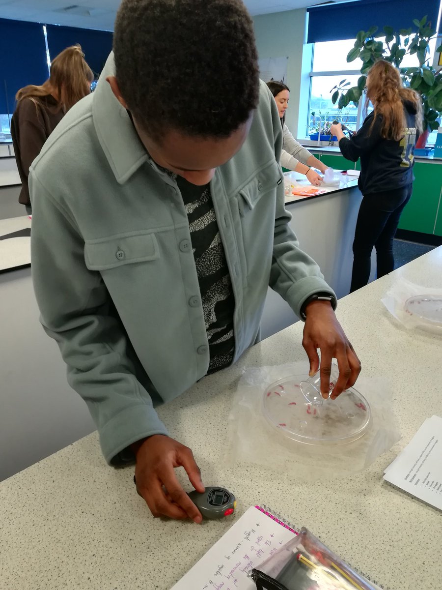St Wilfrids Science tweet media