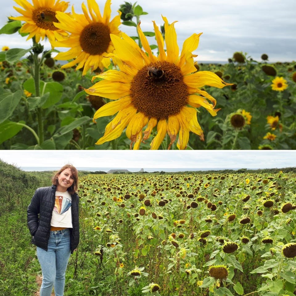 While I’m all about the winter weather and getting to wrap up in lots of cosy knits, I’m also starting to get that itch for summer colours and longing for sunshine again. Am reminiscing today and thinking back to my visit to the Rhossili Sunflower Fields last year...