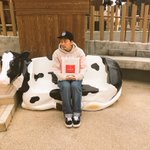ツイートに含まれる画像