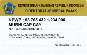 0812 8924 6551 Jasa Pembuatan NPWP Pribadi Perorangan Murah Jakarta bintangjasa.net/0812-8924-6551…