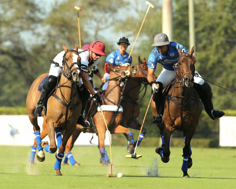 Dutta Corp Maintains Winning Streak And Captures The 2019 Joe Barry Cup livingpolo.com/dutta-corp-mai…